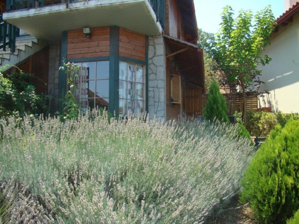 Zeus-Village Οικισμός Φινλανδικών Chalet Με Πισίνες & Γυμναστήριο Molos  الغرفة الصورة